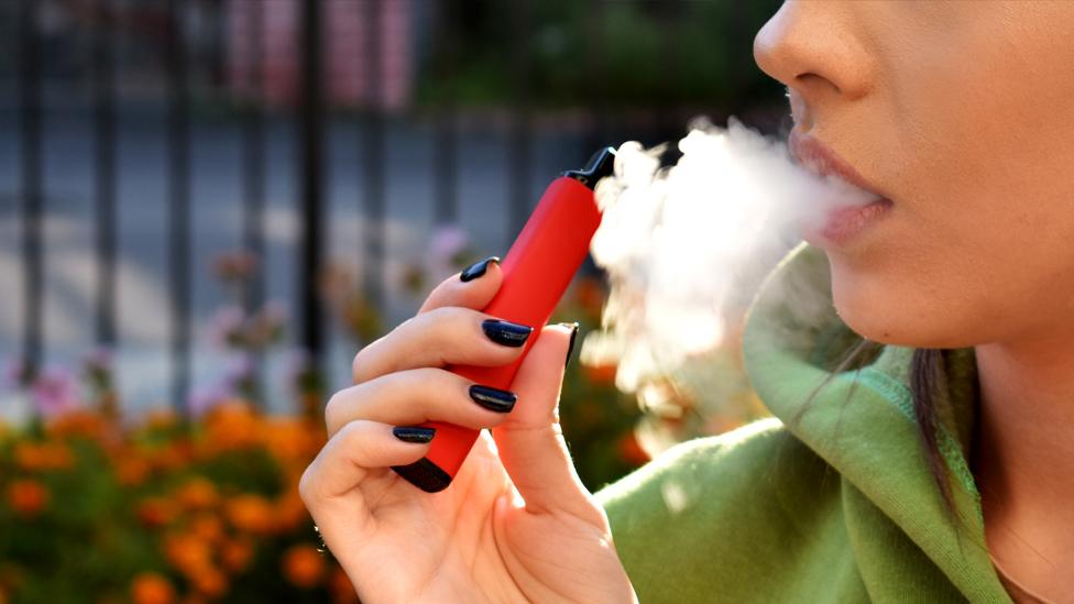 Trending Vapes in Ontario: The Best Vape Brands to Try in 2025 Lucky 8 Vapes Trending Vapes in Ontario: The Best Vape Brands to Try in 2025 Lucky 8 Vapes